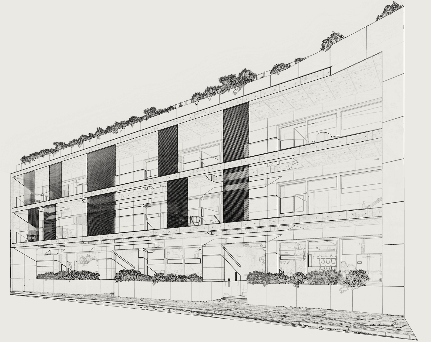 Specifications - Neon