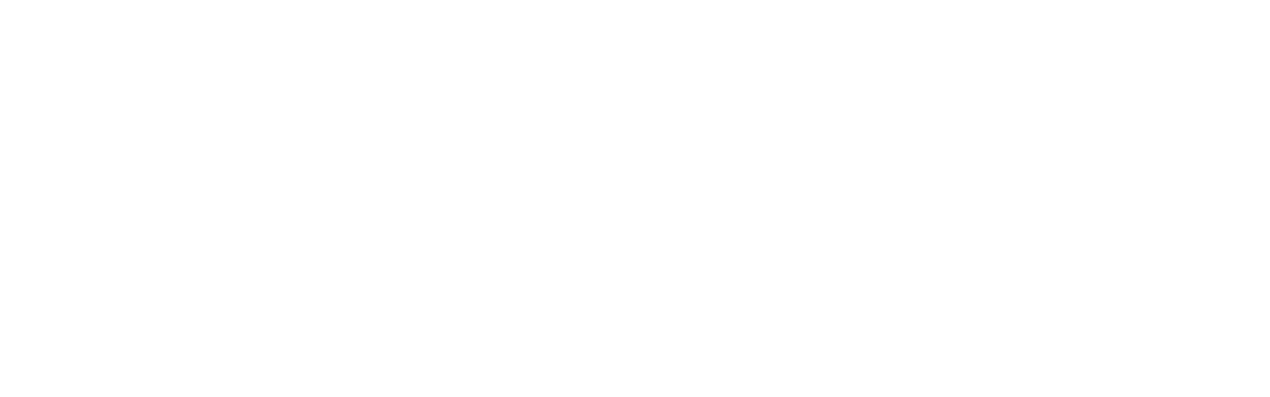 Logo Maximum