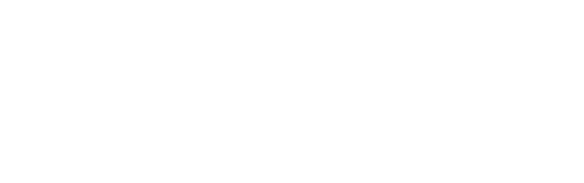 Logo Point