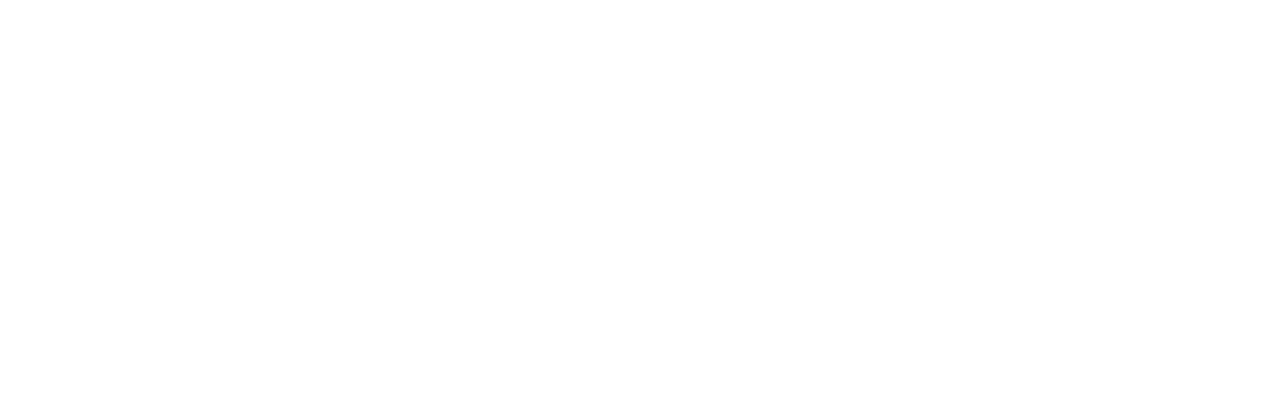 Logo Hidden