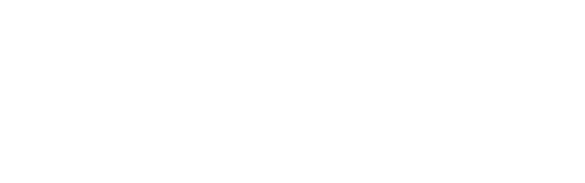 Logo Point