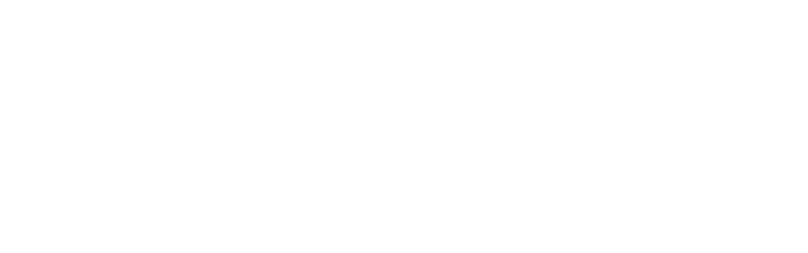 Logo Voluta