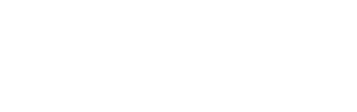 Logo Spot
