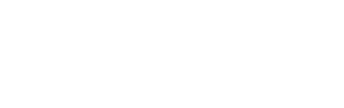 Logo The light Home