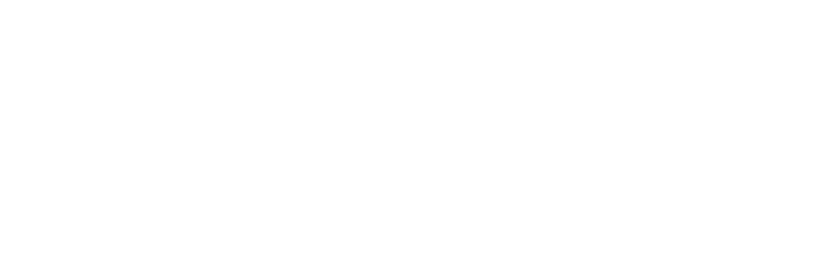 Logo Maximum